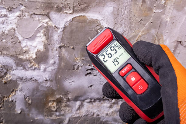 Best Fast Mold Removal  in Park View, IA