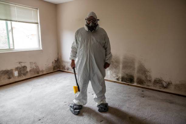 Best Crawl Space Mold Removal  in Park View, IA